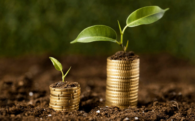 Empowering your growth, maximizing your reach